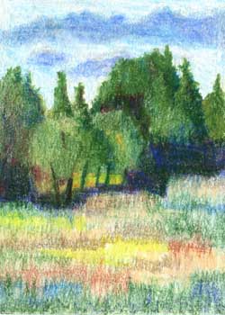 "Woodland Field" by Barbara Kelsey, Pewaukee WI - Colored Pencil